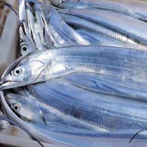 Frozen Ribbon Fish